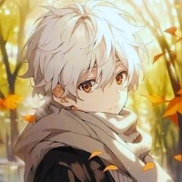 Administrator 头像